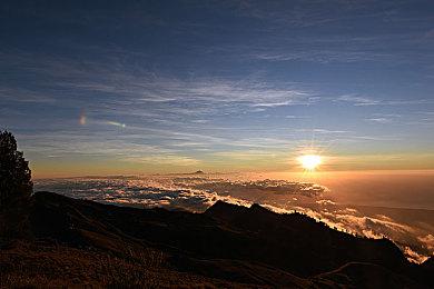 B社发布《星空》新短片 展示奇特外星生物